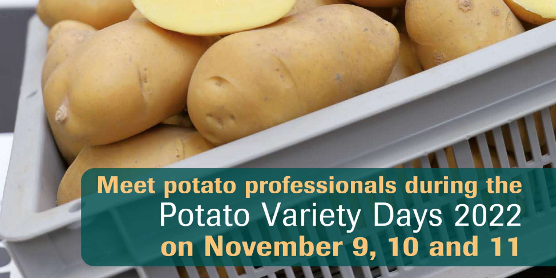 Snippet of e-book cover Potato Variety Days 2022-1